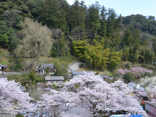 タイトル